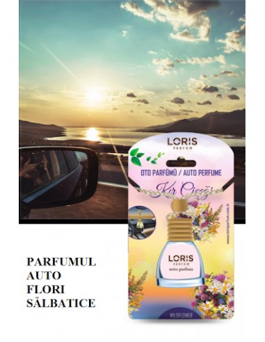 Parfum Odorizant Auto Loris aroma...